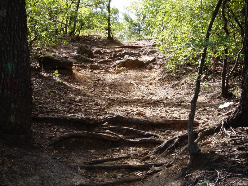 Stacks Image 9619